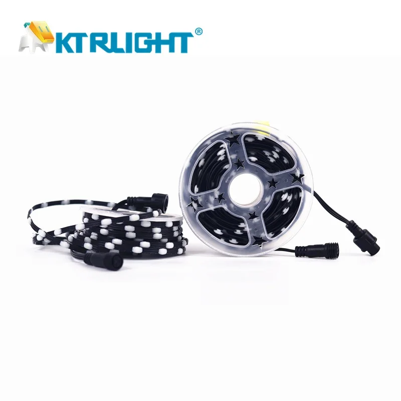 DC5V 12V Black Waterproof Head 100ct/200ct/300ct Seed LED Pixel String Light WS2811 RGB IC Addressable IP67 3Pin Black Wire