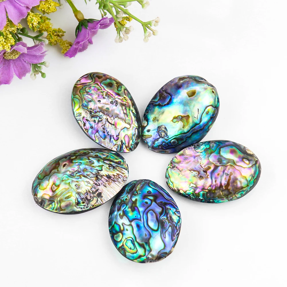 Natural New Zealand Abalone Shell Double-sided Clam Mussels Rainbow Aurora MOP Pendant Specimen Necklace Dangle Charms Jewelry