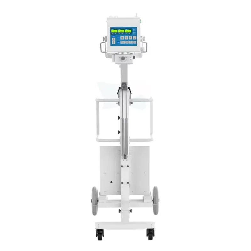 Premium Quality 5KW XM-P100&XM-P100V H.F. Portable X-ray Machine Hospital X Ray Digital Radiography for Human/Animals