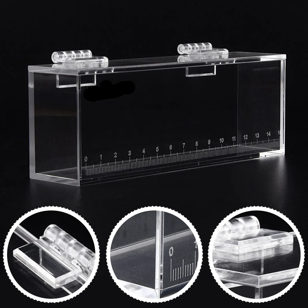 Fish Viewing Box High Clear With Scale Fish Box Fish Tank For Bitterling Gobies Transparent Acrylic Fish Tanks Viewing Box