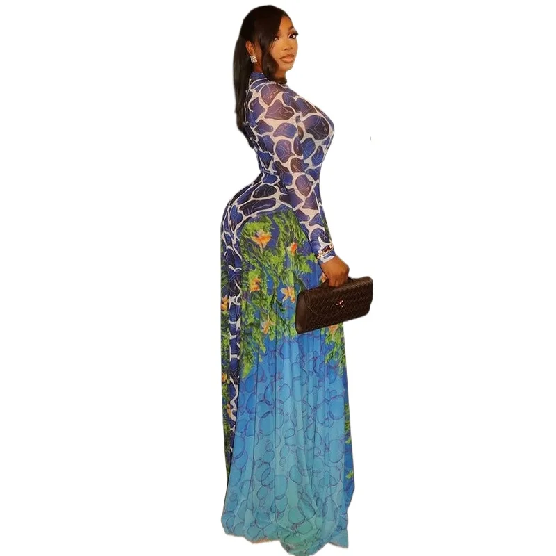 

Women 3D Printed O-neck A-line Mesh Long Sleeve Maxi Long Dress 2026 Summer Fashion Birthday Vacation Sexy Party Dresses