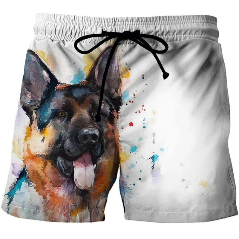 Pantalones cortos de tabla de Surf con estampado 3D de animales para hombre, ropa de baño con estampado de ardilla transpirable Simple, divertido, de gran tamaño, para fiesta hawaiana