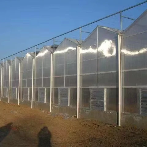 

Customized greenhouseCommercial Polycarbonate Greenhouse with Hydroponic System