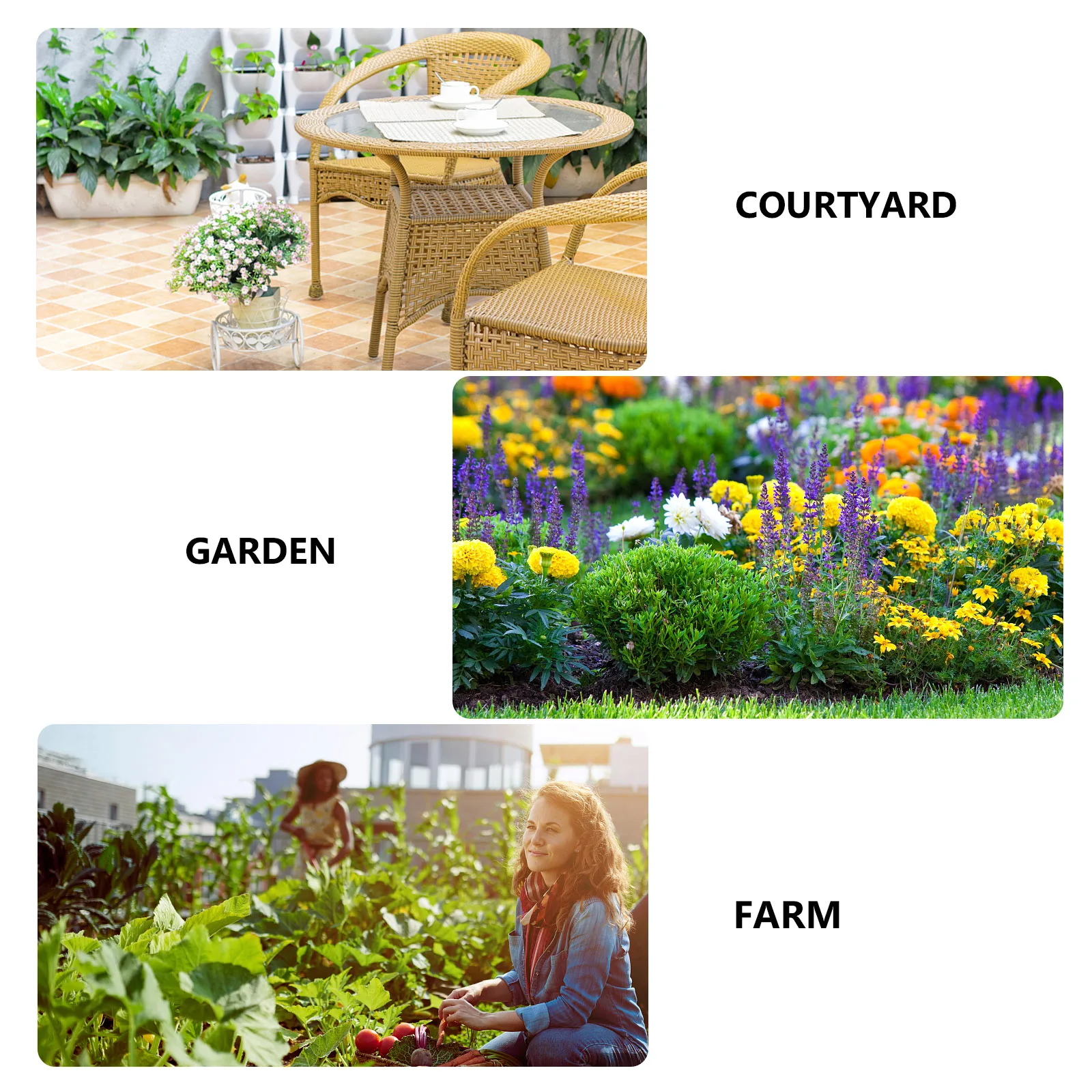 

20Pcs Fertilizer Baskets Plastic Premium Containers for Bonsai Plant Pot Garden Fertilizer Holder Organizer