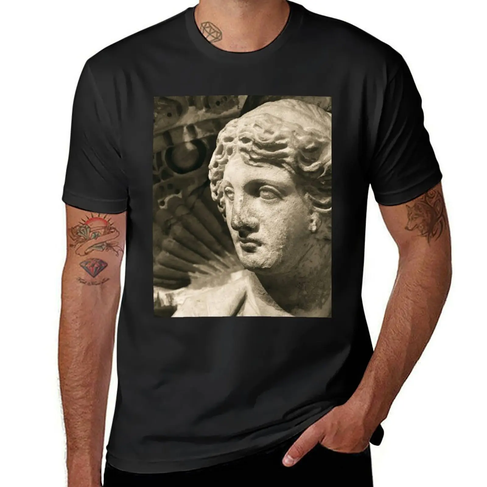 013: Ancient Roman Statue T-Shirt oversizeds summer tops summer top men t shirt