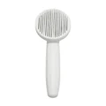 White G168A