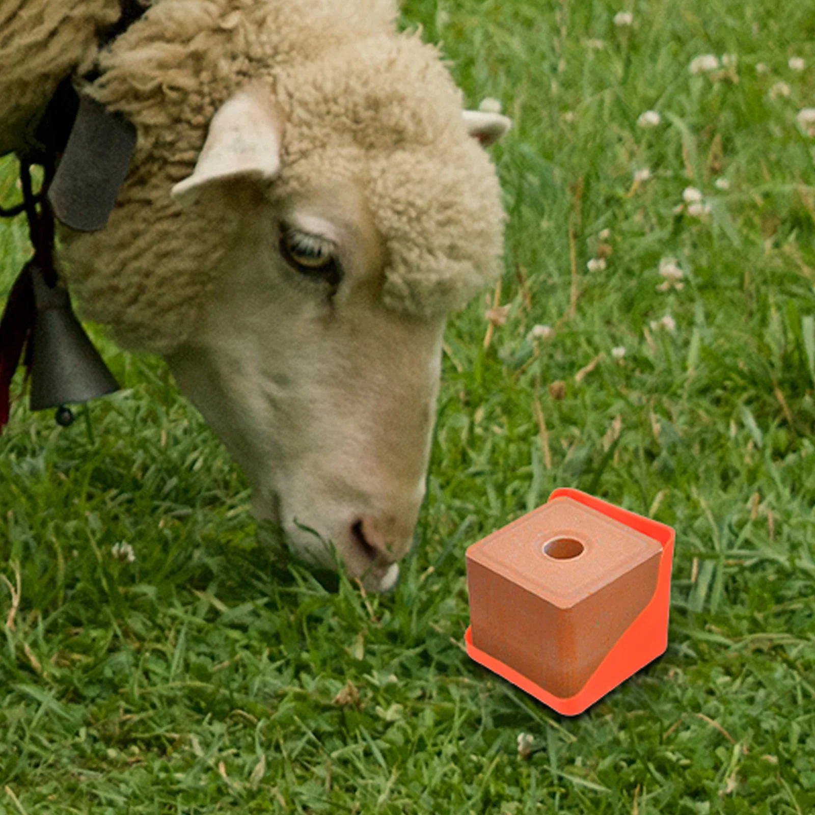 

Lick Brick Holder Salt Block Rack Durable Large Opening Goat Sheep Feeder Horse Lick Salt Holder Mineral Storage Container