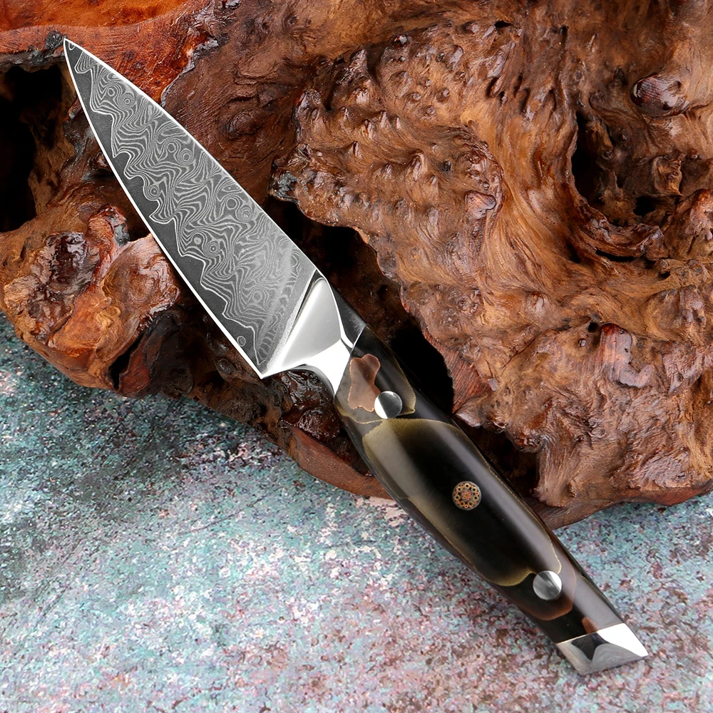 Razor-Sharp Japanese Damascus Steel 3.5-Inch Fruit Knife Home Use Full Tang Peeling and Coring Knife Kitchen Cooking Tool