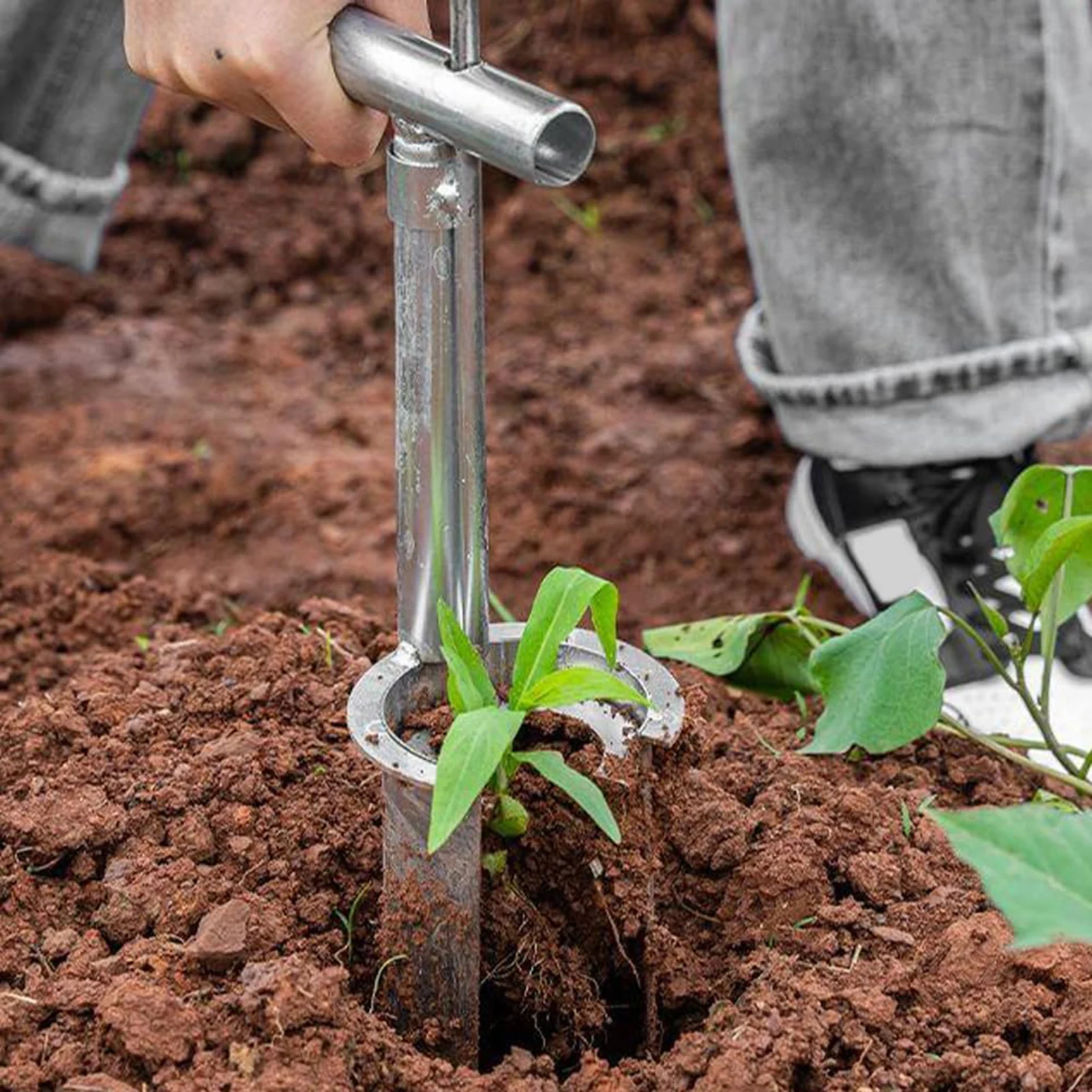 Plant Transplanting Tool Plant and Fruit Tree Seedling Transplanter for Planting Tulip Daffodils Dahlias Onions