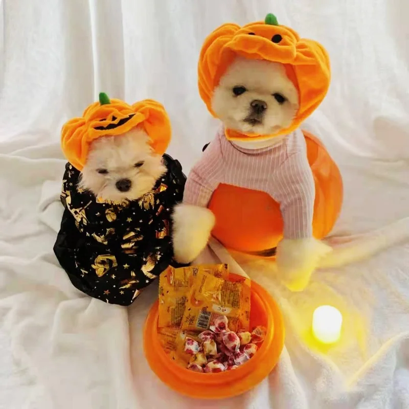 Pet Cats and Dogs Pumpkin Hat Halloween Decoration Headdress Supplies Large and Small Pet Dog Teddy Mowing