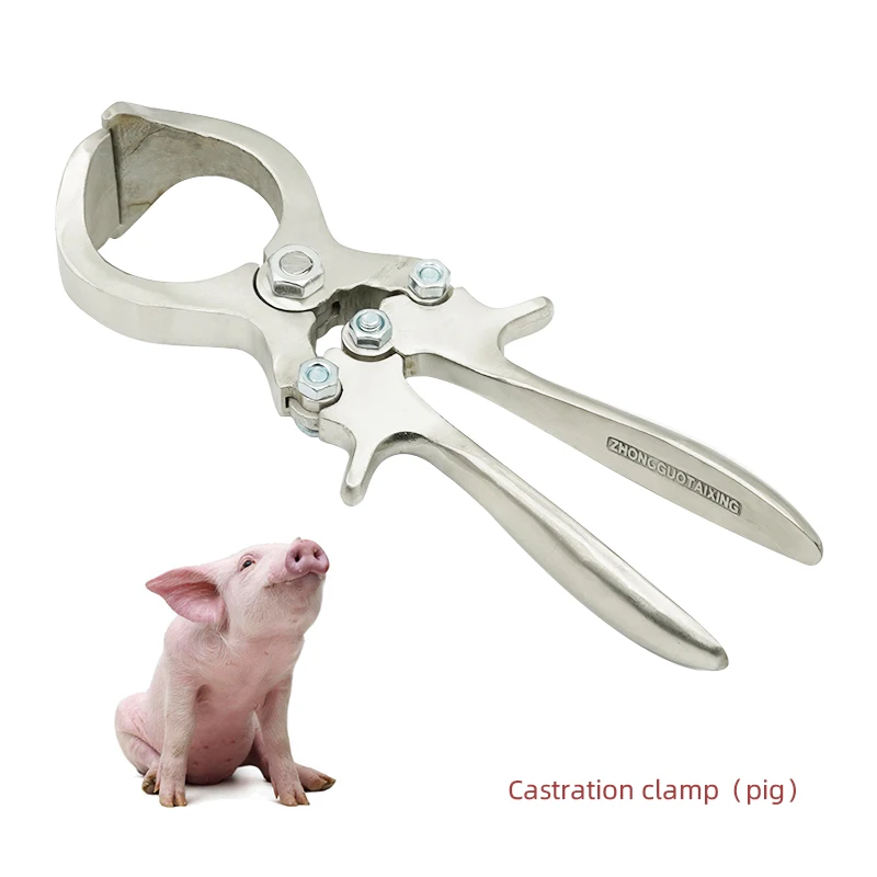 Imagem -03 - Forceps de Castração de Ferramentas Especiais Veterinárias Bloodless Pig And Sheep Castração Clamp Tipos Aço Inoxidável