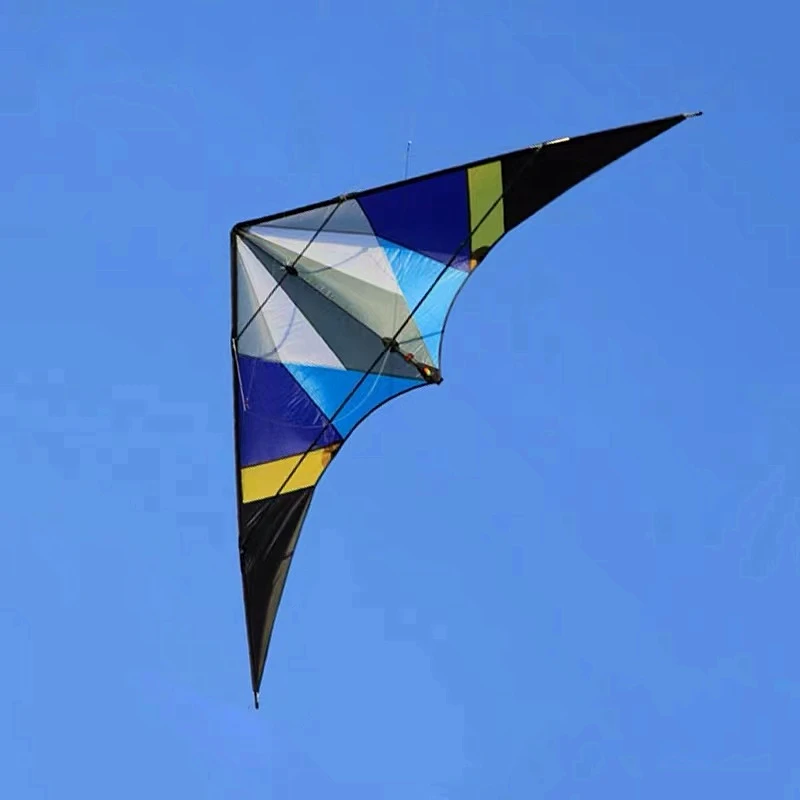 Dual Line Stroke Kite para adultos, Wing Power Kite, velocidades em voz alta, pipas de vento profissional, frete grátis, 255cm