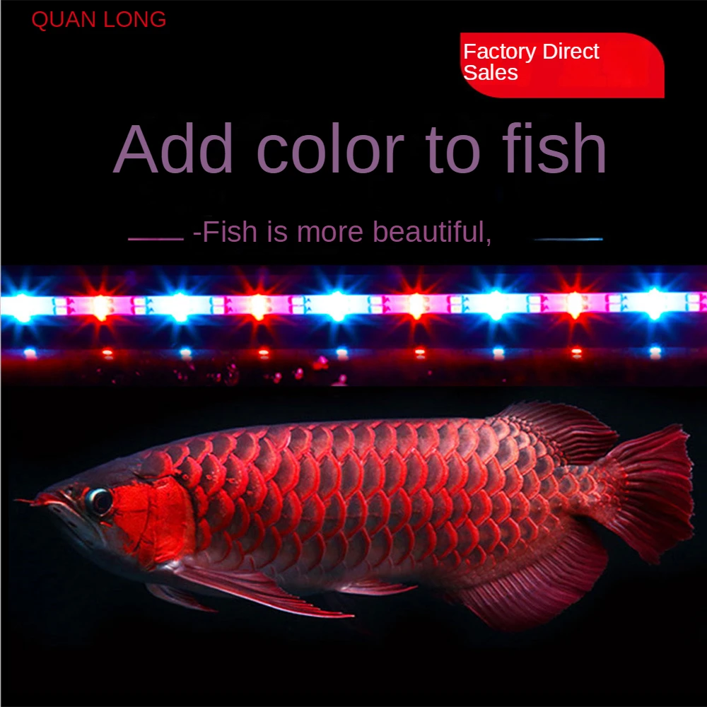 

LED Dragon Fish Tank Lights, Brighten Water and Land, 3 Color Switching, Aquatic Plants, Aquarium Diving, Waterproof, 17-117cm