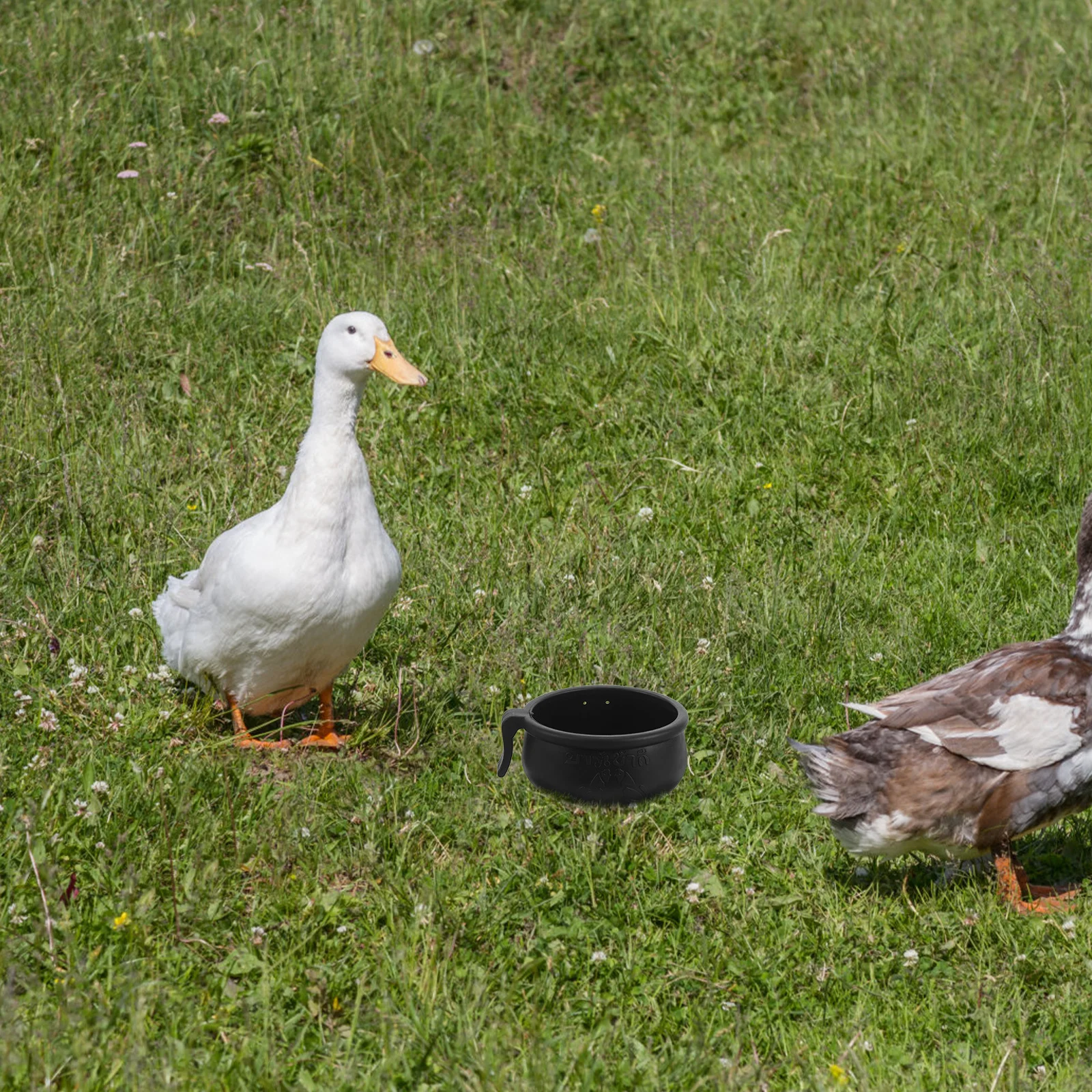 

1 set Chicken Water Bowl Rubber Poultry Drinker For Coop Accessories Replaceable Cup Multi Function Duck Bird Household Use