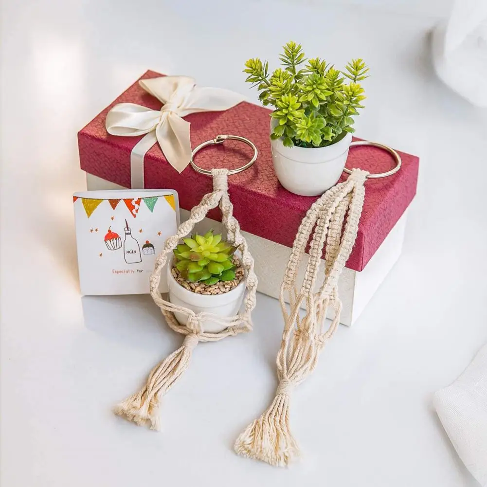 

2Pcs Unique Flowerpot Hanger Wide Application Delicate Plant Hanger Beautiful Fine Texture Flowerpot Hanger