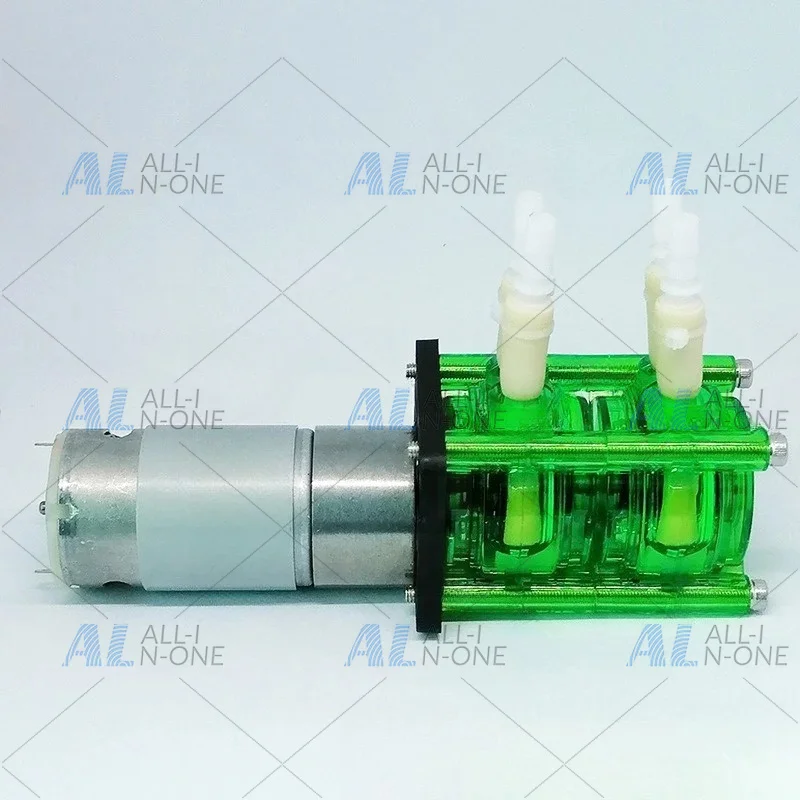 Double head 12V/24V large flow corrosion-resistant peristaltic pump easy-to-install titration pump BPT tube 500ml/min * 2