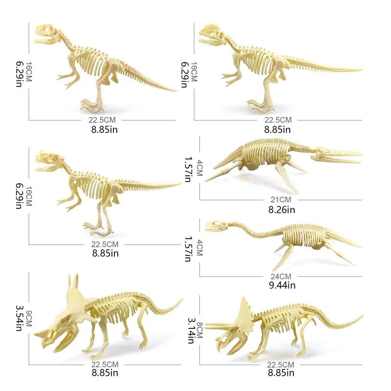 dinossauro infantil para esqueleto fóssil para brincar, brinquedos, cor brilhante, cérebro engraçado