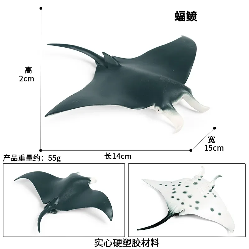 Ocean World Animali Modello educativo Figurina Sea Life Batfish Devil Fish Sawfish Action Figure Giocattoli per bambini Regalo Acquario Decor