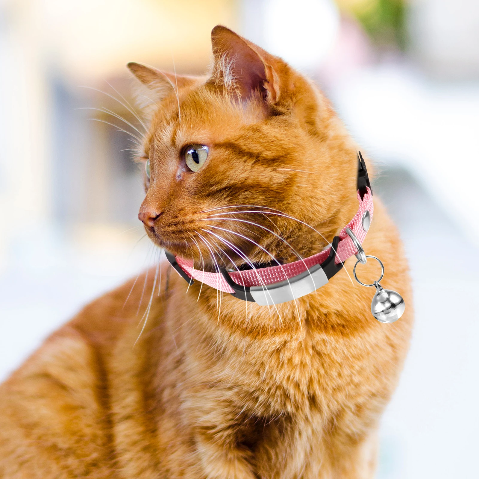 

Pink Kitten Collar Cat Collars Adjustable Puppy Name Tag Blank Lettering Card Anti Lost Safety Buckle Bell Pet Accessory