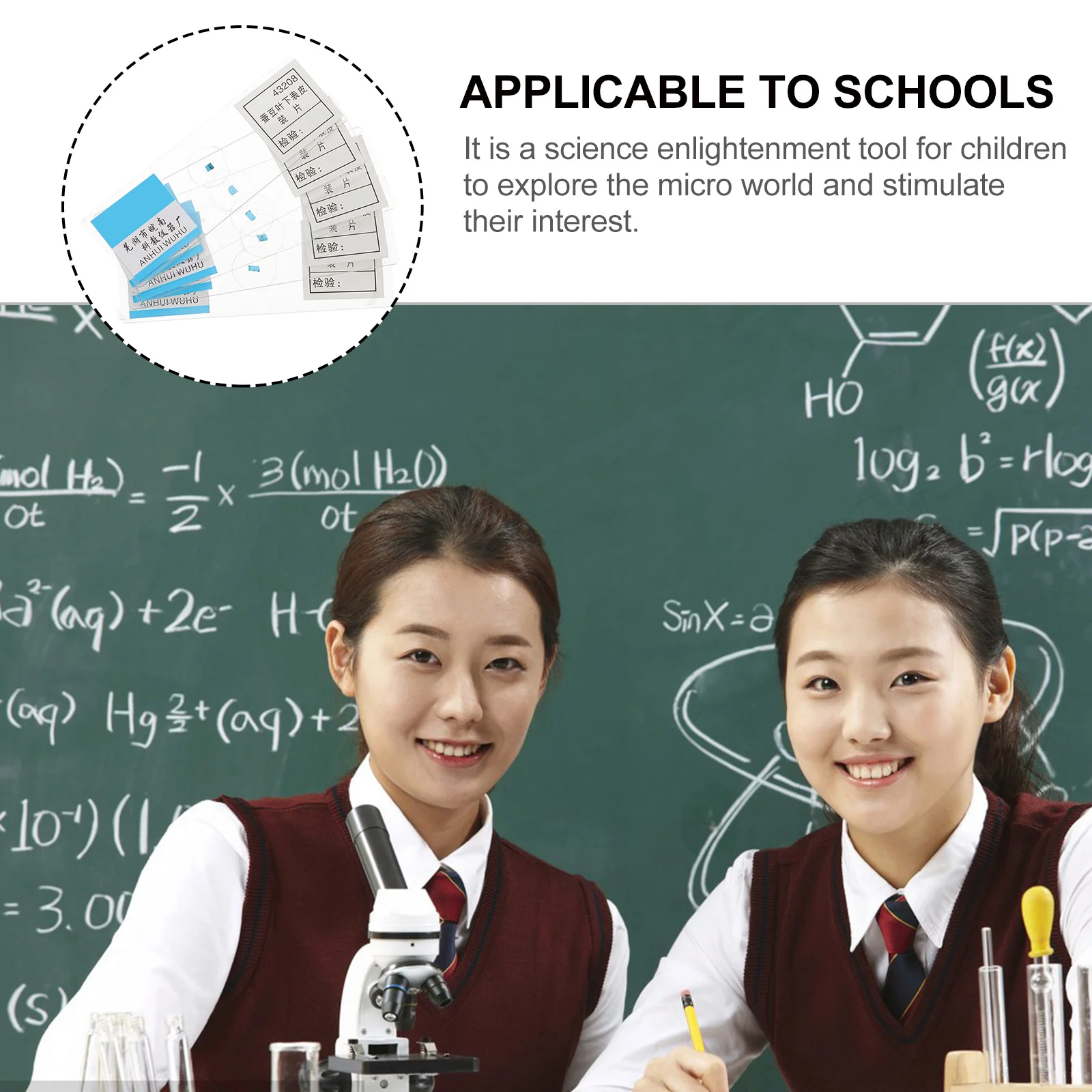 5Pcs Prepared Microscope Slide No Sharper Edges Design for Safe and Reliable Biological Experiments At Home