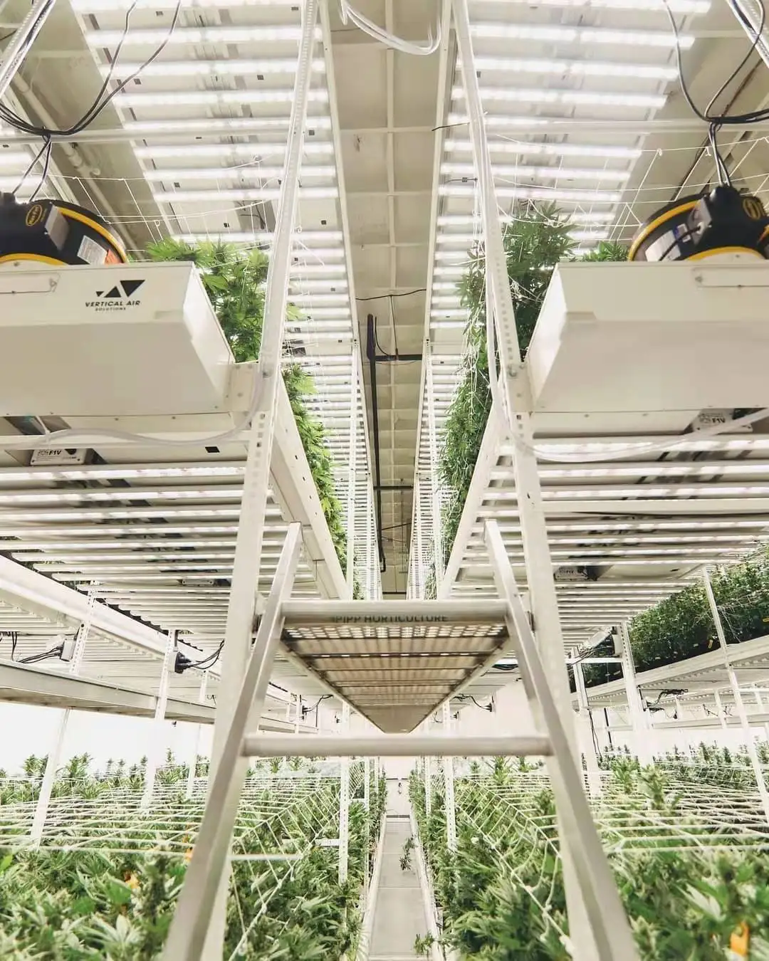 

Indoor Seeding Hydroponis Growing Use Mobile Grow Rack