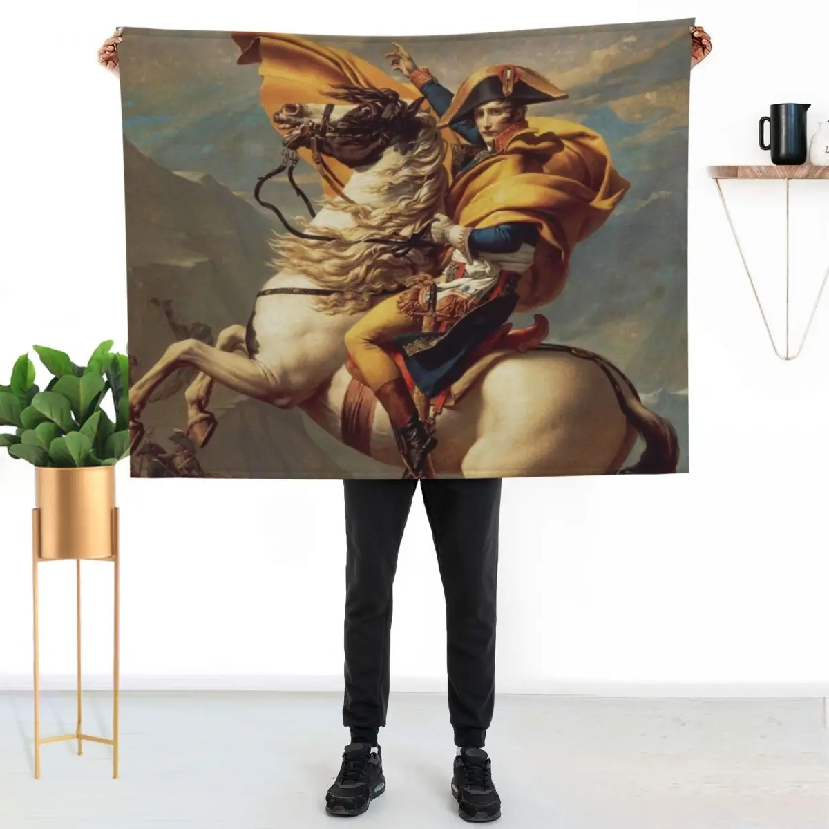 Napoleon Crossing the Alps Throw Blanket Furrys for babies Kid'S Cute Plaid Plush for sofa Blankets