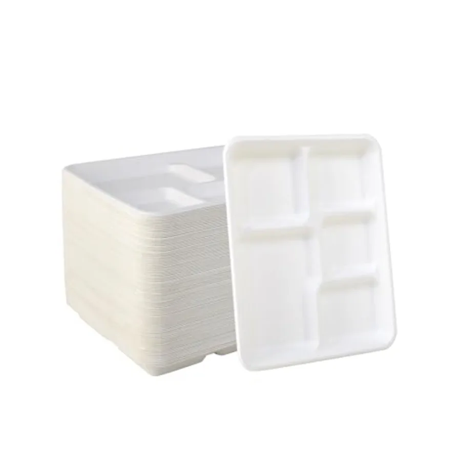

100% Compostable Small 5 Compartment Plates 125 Pack 10.25 x 8.25 inch Disposable Sugarcane Bagasse Tray Perfect for Boys and G