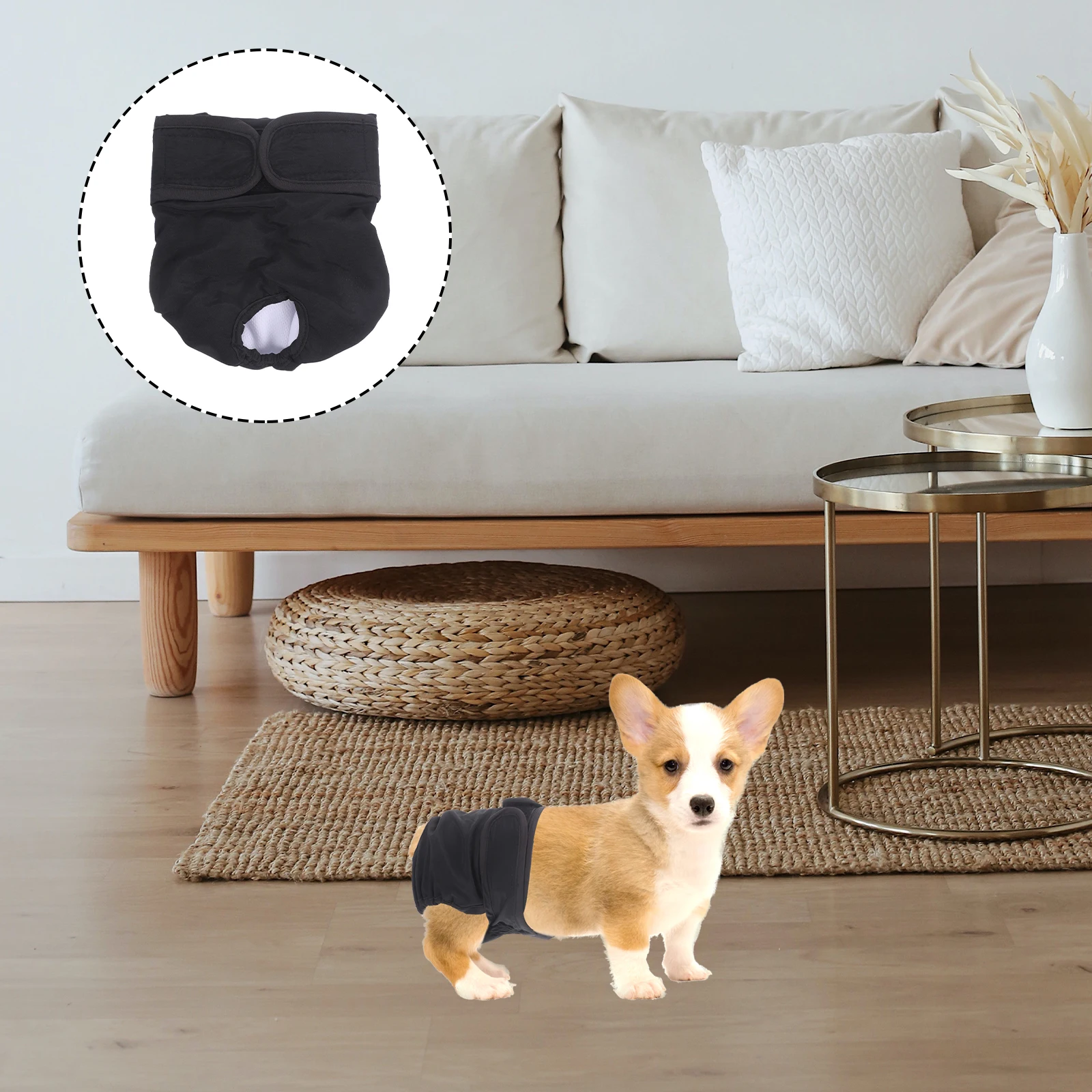 

Pet Physiological Pants Dog Period Panties Washable Puppy Diapers Female Physical Indoor Sanitary Dog Anti Pet