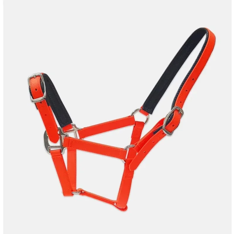 

Waterproof Equestrian Halter Bridle Synthetic Coated Webbing with Zinc Alloy Hardware Durable for Outdoor Use