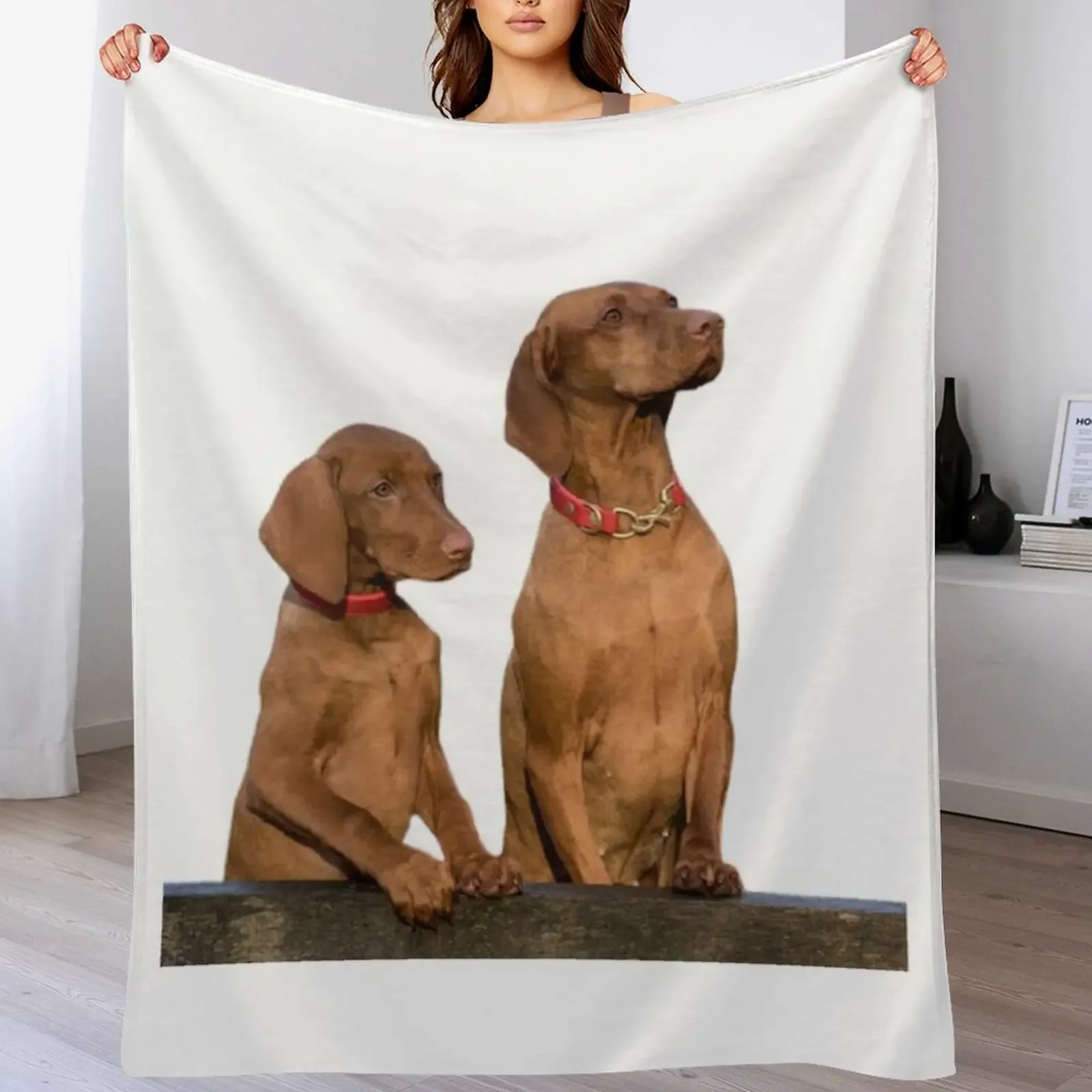 Manta para perros Viszla, manta suave y cálida para cama, sin pelusas