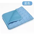 Blue - Ice Silk Pad