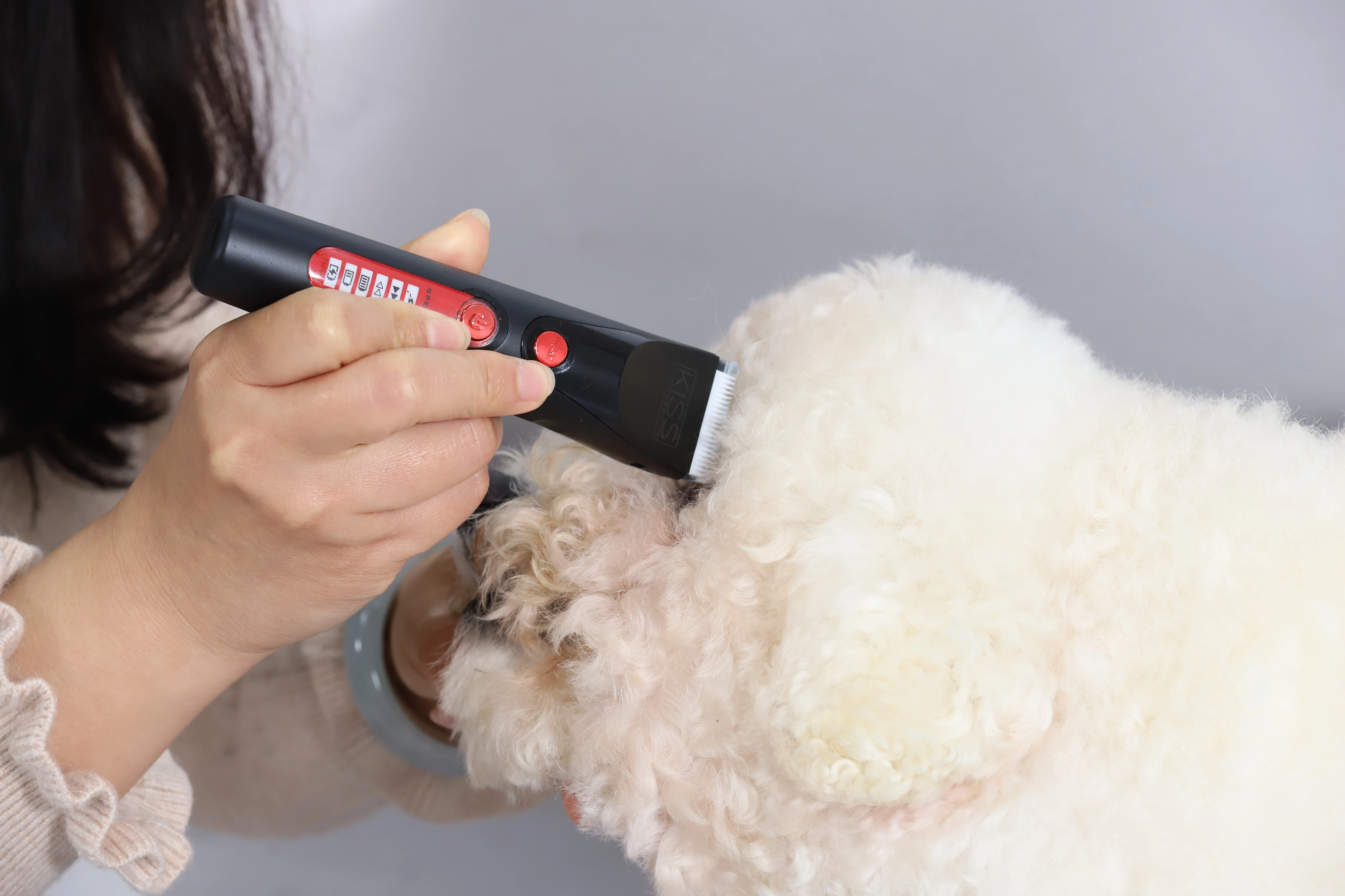 MC-220 Small Pet Electrical Scissors Euro Plug 110-220V KISS Package (wide Voltage USB Charger) Pet Clippers