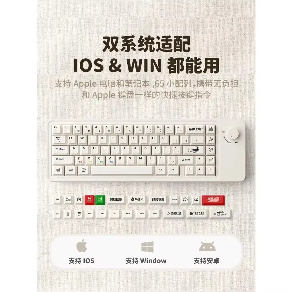 ATA-Kit de clavier mécanique sans fil Leic-mode M65, jeu Bluetooth 2.4G, joint 65% 67 prédire, Type-C RVB avec bouton pour filles, bureau