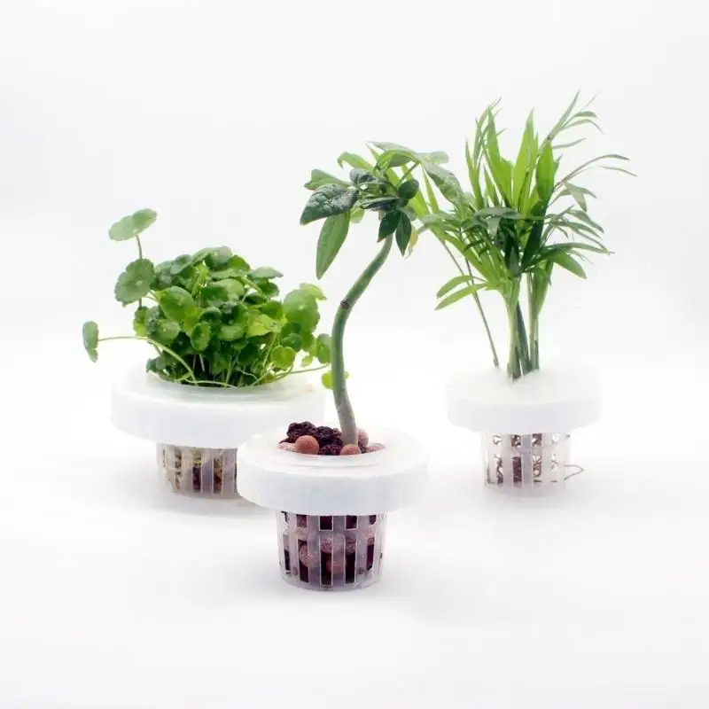 Floating Aquatic Plant Basket Hydroponic Plant Holder Water Plant Fixing Pot For Fish Tank Aquarium Landscaping Decor