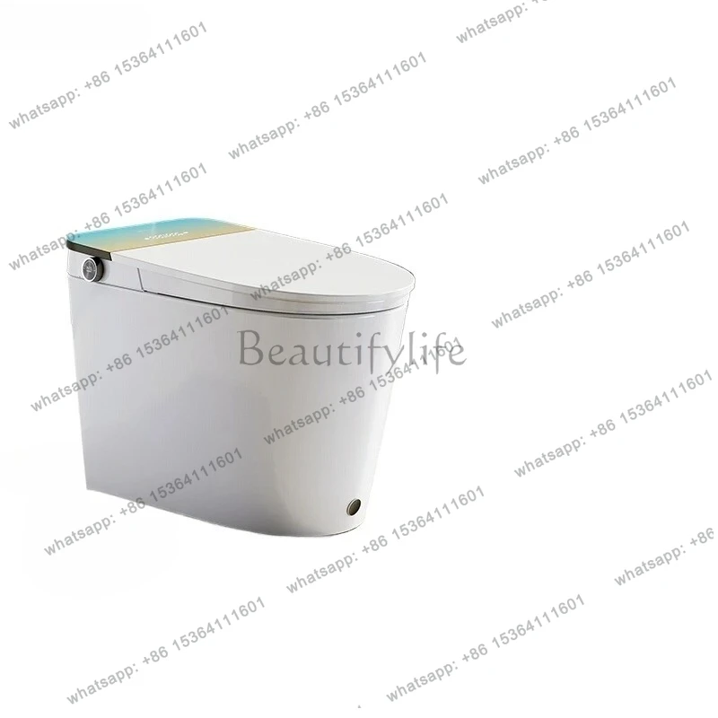 Northern Lights TA040 smart toilet fully automatic integrated water pressure toilet silent with flushing