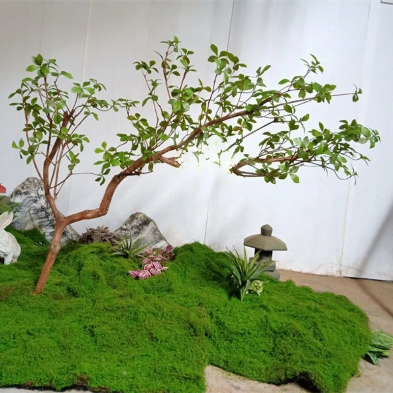 Island spring flower tree Island spring flower leaf plant landscape false tree