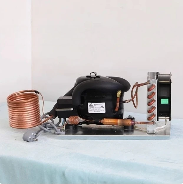Bd25hc Compressor Condenser Car Refrigerator Freezer Solar Marine Refrigerator DC 12 V24v 2.5 Cm³ Working Volume