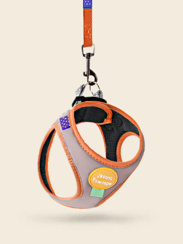 Small Dog Lea Teddy…