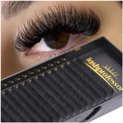 Lashprofessor, extensión de pestañas individuales de todos los tamaños, pestañas coreanas mate Premium con volumen ruso, pestañas postizas de visón hechas a mano