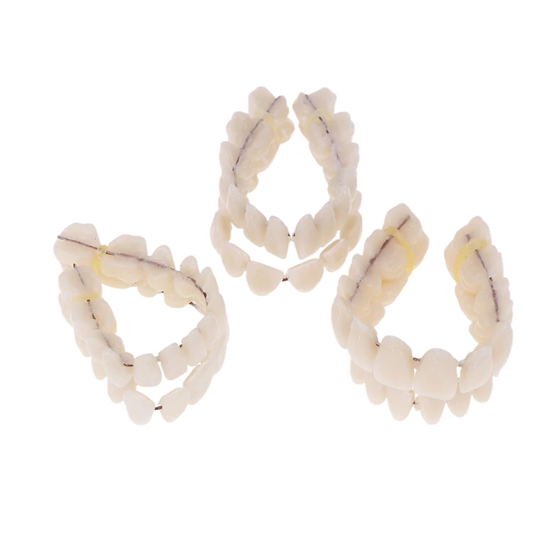 Boxed Resin Denture Upper Lower Teeth Full Mouth S/M/L Size Preformed Dentition Oral Care Teaching Model