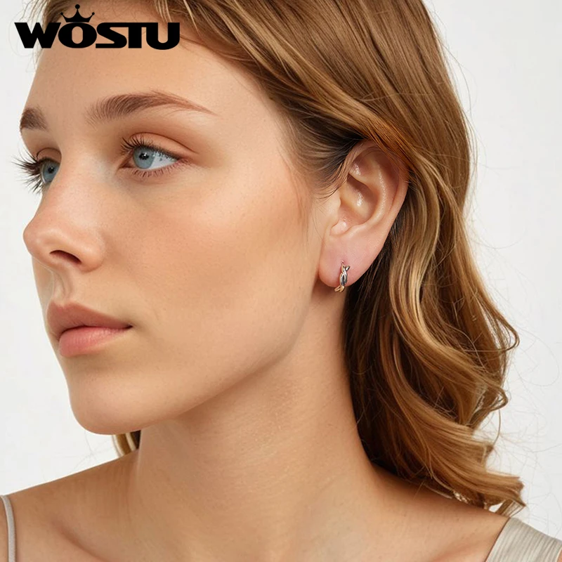 WOSTU-Boucles d'oreilles créoles doubles torsadées pour femmes, argent regardé 925, cadeau de bijoux, structure d'oreille, SCE1837