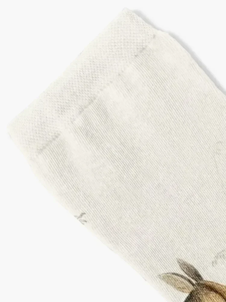 Kangaroos on the Loose - Vintage Scientific Illustration Socks halloween Soccer set christmass gift Socks Women's Men's