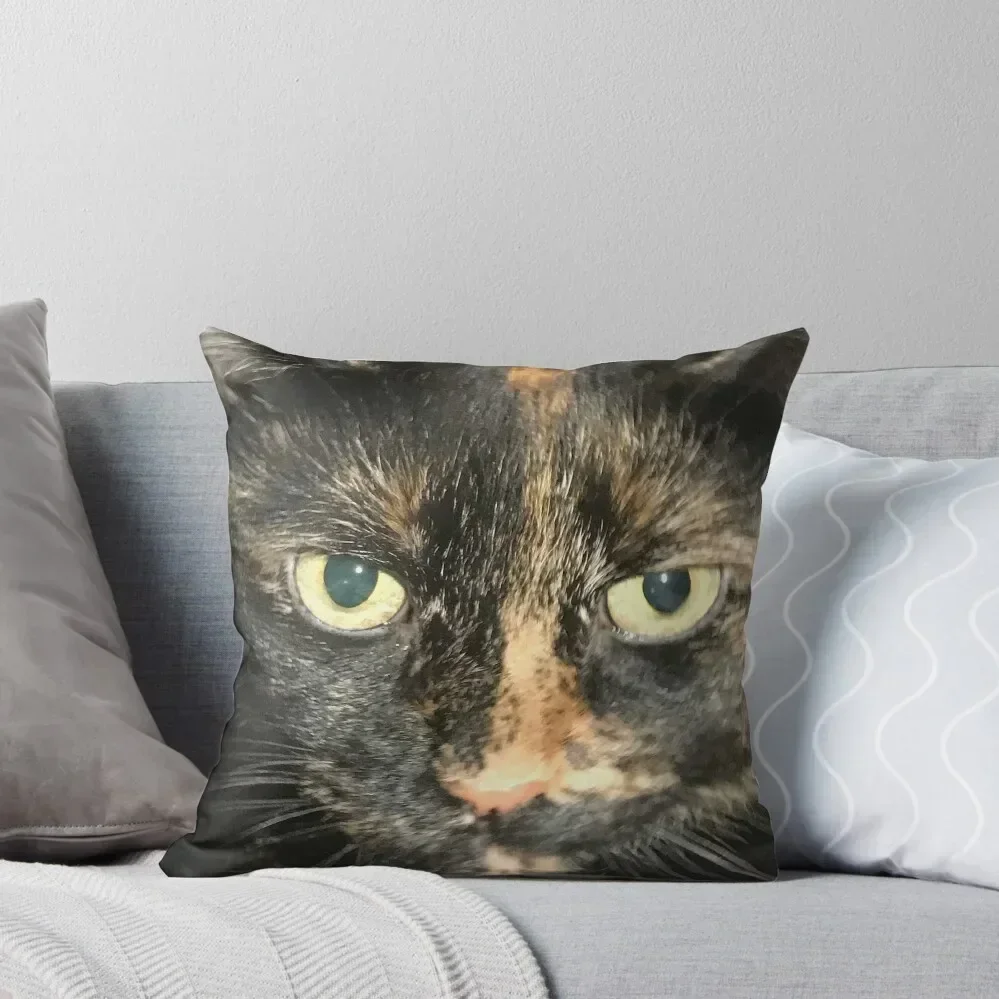 Tortie Throw Pillow Cushions For Children covers for pillows luxury sofa pillows pillow