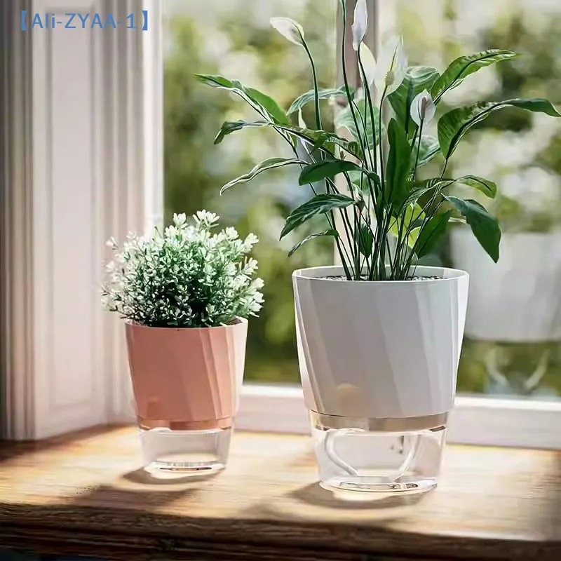 【ZYAA-1】กระถางดอกไม้ไฮโดรโปนิก - Aloe Vera Pot บทวิจารณ์และราคา