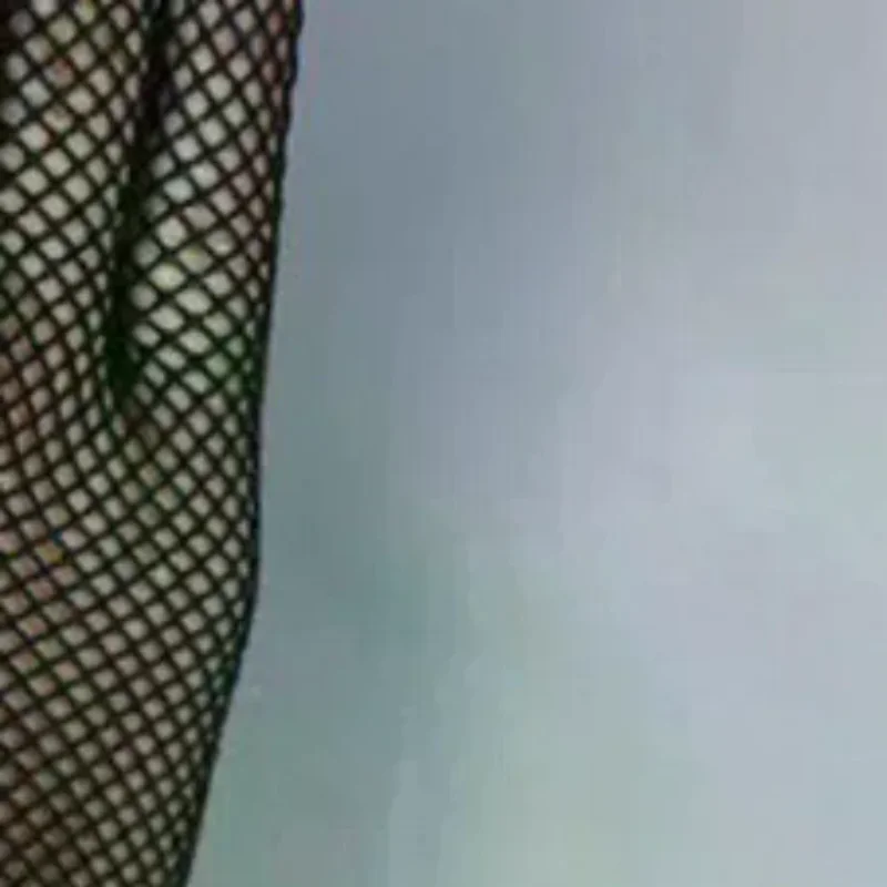 

1 пара, Лидер продаж, сетчатые перчатки, модные женские перчатки для девочек, защитные кружевные элегантные женские перчатки, черные и белые