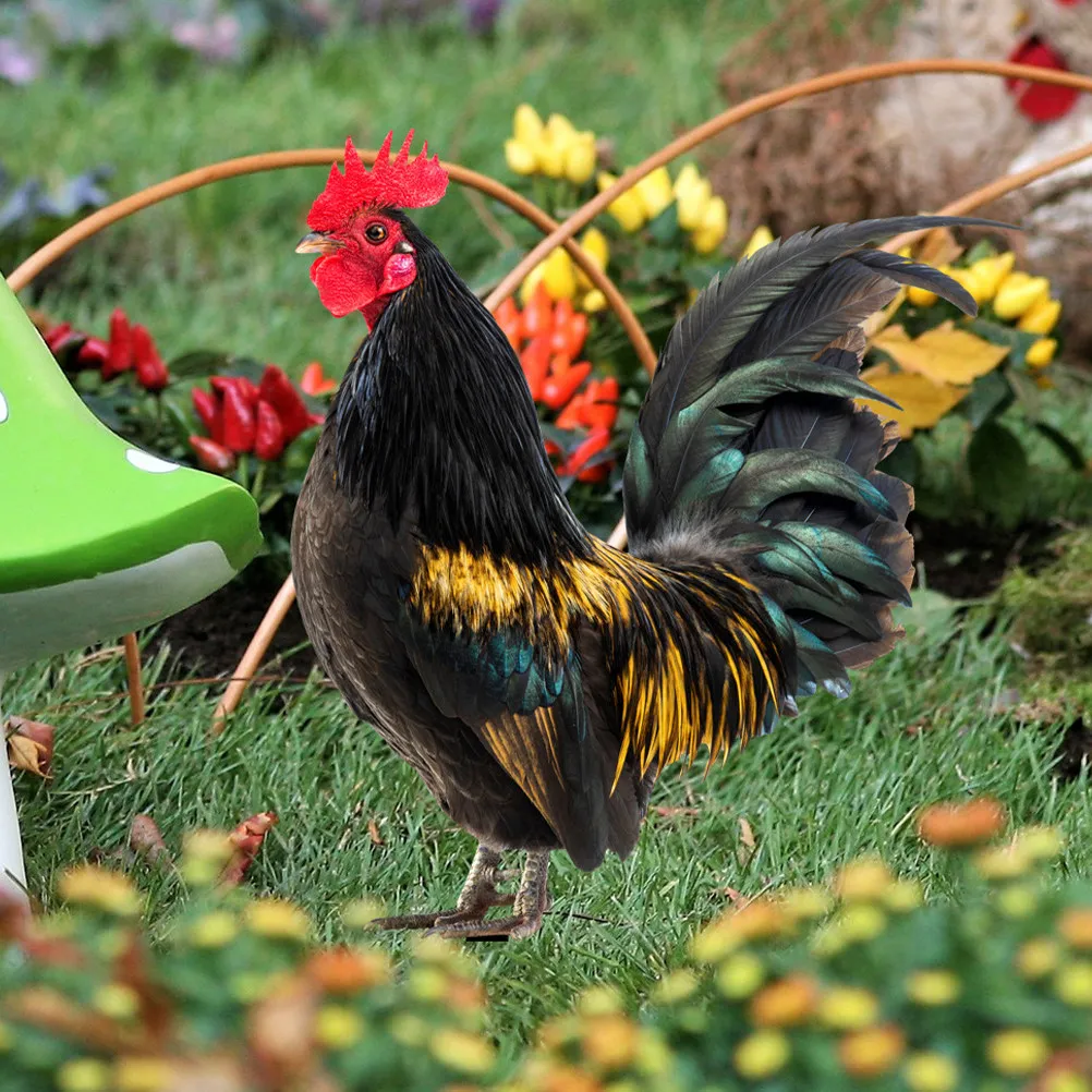 

Набор из 1 акрилового садового декоративного элемента в форме курицы для газона, украшение для двора, уличный садовый декор