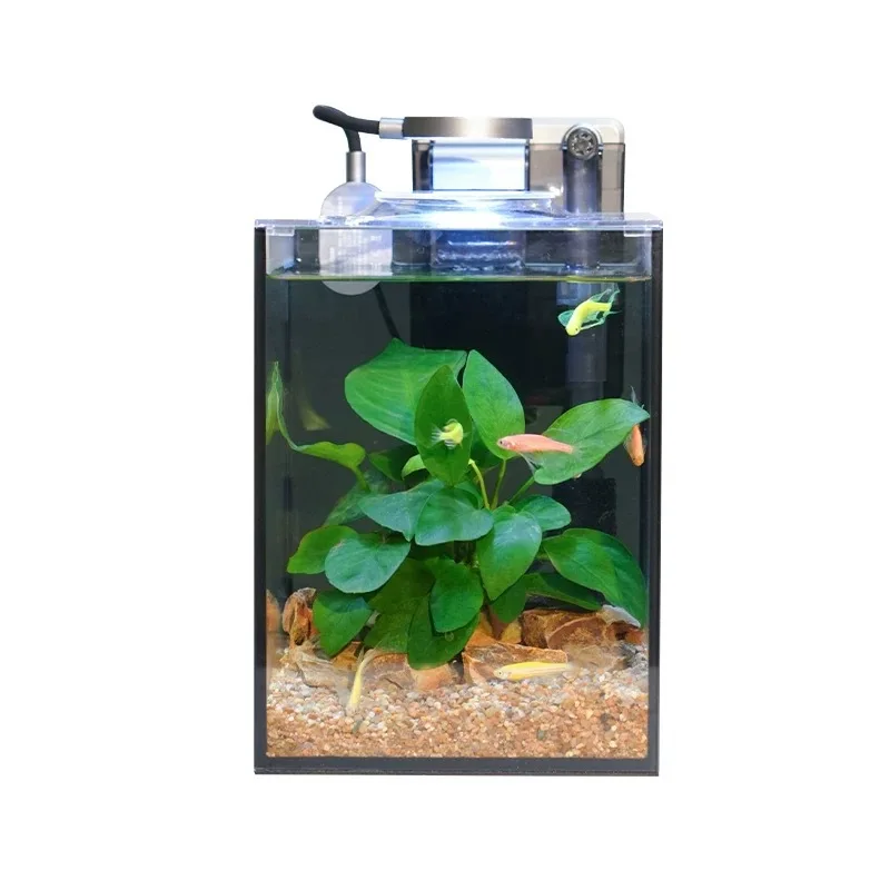 

High Quality Aquarium Super White Glass Aquarium Arowana Cabinet Wholesale Fish Tank