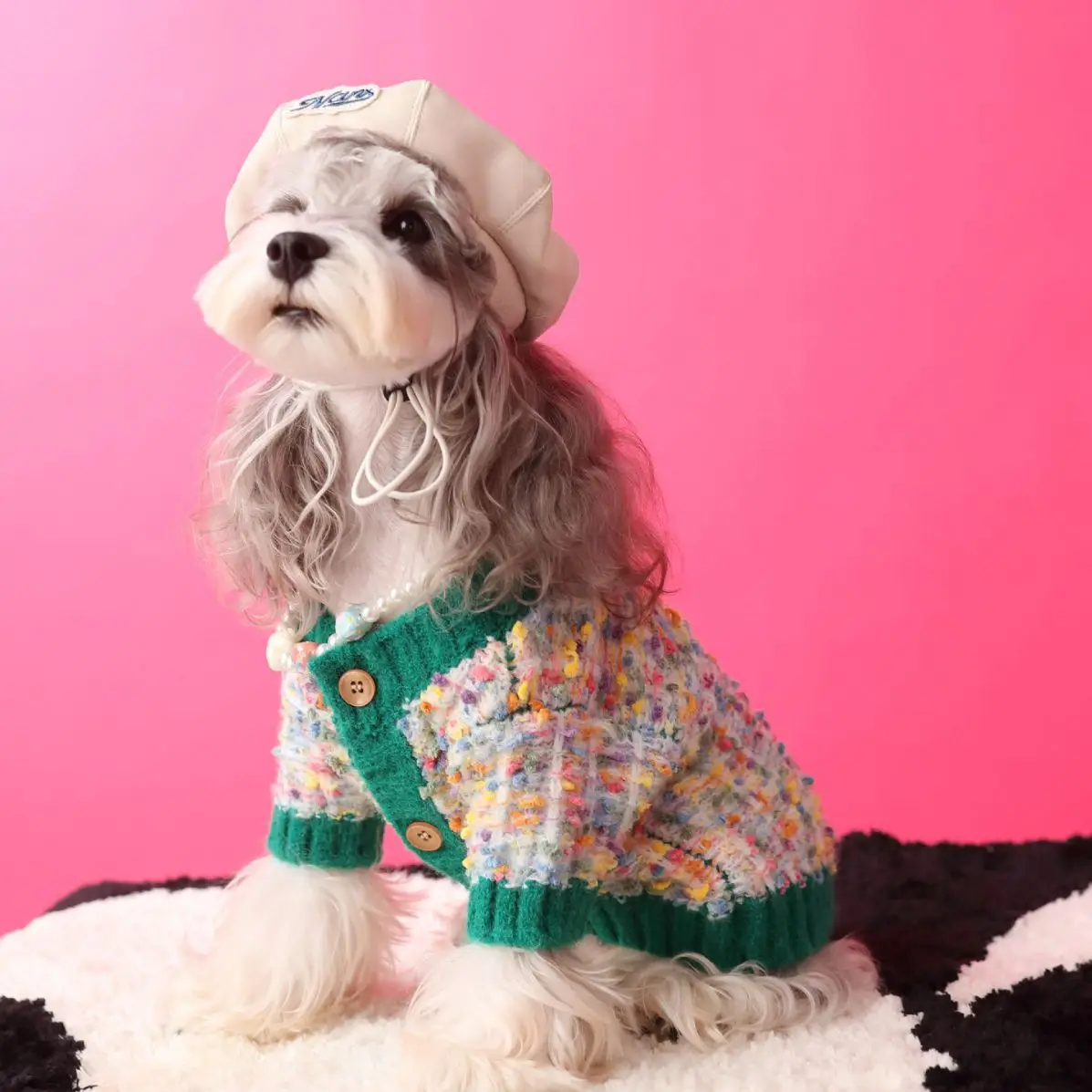 

Colorful Dot Sweater for Little Dog, Cardigan, Schnauzer, Bomei, Bixiong, Malzis, Yorkshire Clothing, Autumn, Winter, New