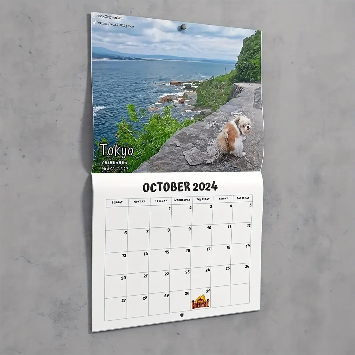 1 Pcs Funny Dog Pooping Wall Calendar 2024 Unique Calendar Gift for Friends Family Neighbors Coworkers Relatives Loved Ones