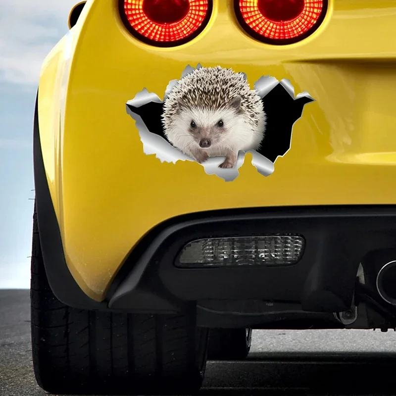 car sticker hedgehog pet animal vinyl decal car accessories pvc waterproof sunscreen cars accessories penetration tools